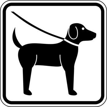 Keine Nutzungsrechtsbeeinträchtigung durch freilaufenden Hund