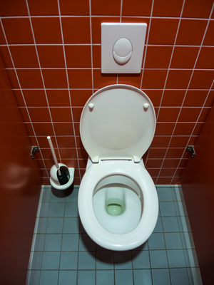 Schutzfähigkeit von WC-Steinen